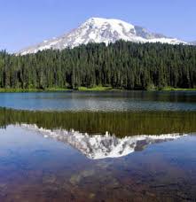 Image from Google