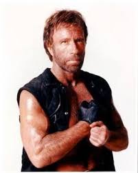 Image Lets Google Chuck Norris Picture