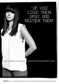 Cat Power Image <b>catpower< b>72.jpg Picture 7