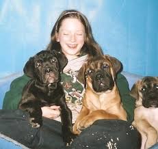 All  puppies   are reared in    
