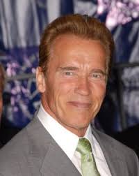 Image Schwarzenegger also noted Picture