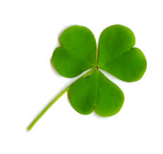 A simple  clover   giving ya all LUCK 