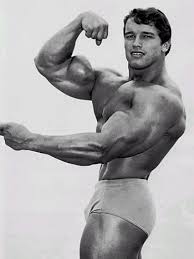 Image Arnold Schwarzenegger Picture