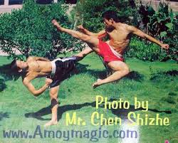 Southern Shaolin  Kung fu   match    