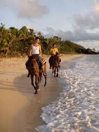 Horseback Riding &middot; Bike Riding