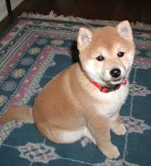  x26quot This is Hana