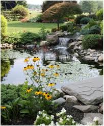 ponds - via Daymix