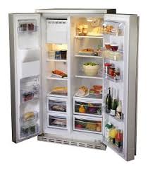 The new American style fridge