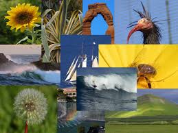 File:Public Domain Image - via Daymix