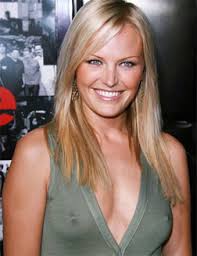 Image <b>Malin Akerman</b> Picture