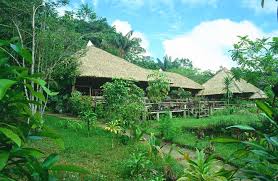The Amazon (Manaus, Amazonas) - via Daymix