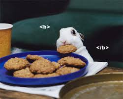 a very  bold   rabbit