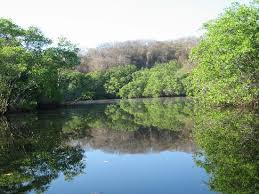 Mangrove reflections - via Daymix