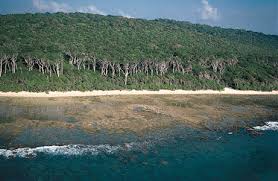 Cinque Island: coast, Bay of Bengal