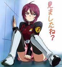 【ガンダム エロアニメ】