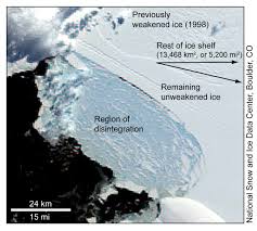 the Wilkins Ice Shelf
