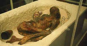 Egyptian Mummy
