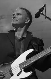 Sting Picture 4