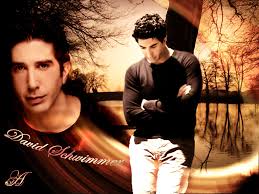 Image <b>David Schwimmer</b> Picture