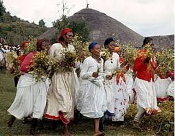 The Africa Focus Collection