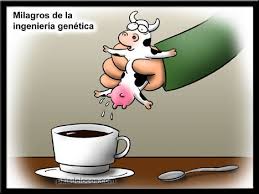 http://www.telecable.es/personales/jeamm1/cafe%2520con%2520leche.jpg