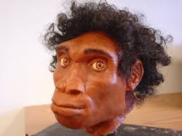 Clearly, early hominid facial