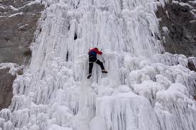 Image from Google