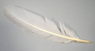 Feathers - via Daymix
