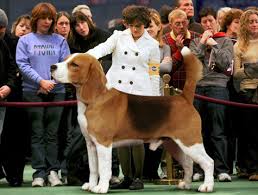 Dog Breeders Unveil New