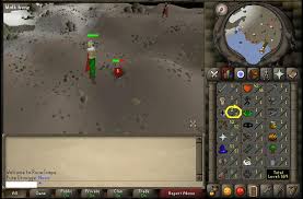 In our goal to create a  runescape      