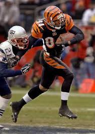Houshmandzadeh,