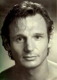 Image <b>Liam Neeson</b> at CelebrityValues.com Picture