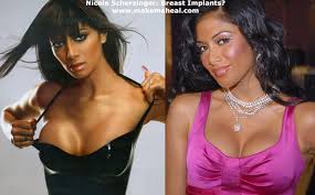 Image Is <b>Nicole Scherzinger</b> a Plastic <b>...</b> Picture