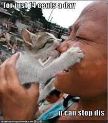 funny-pictures-15-cents-stop.