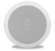 In-Ceiling Stereo Speaker