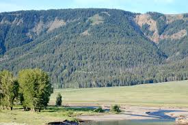 North East Entrance to Lamar Valley, Yellowstone
