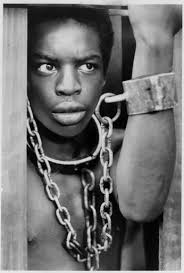 Image Actor <b>LeVar Burton</b> <b>...</b> Picture