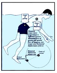 The  center of gravity   is a point at    