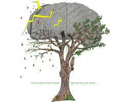 Welcome to Aspergers-Syndrome.info