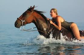 This is the horse riding page