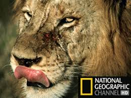   National Geographic   now available in    