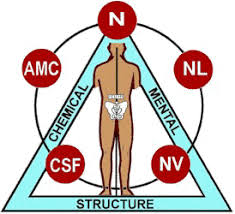  Applied Kinesiology 