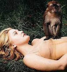   Bashful   Monkeys  Nude   x26amp Sexy    