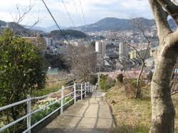 坂道散歩: 2008年2月