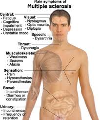 the Nurses' Health Study - via Daymix