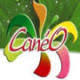 Caneo : activité, actionnaires