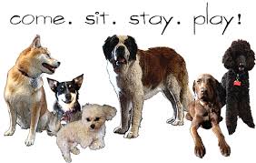 What sets Metro Dog - via Daymix