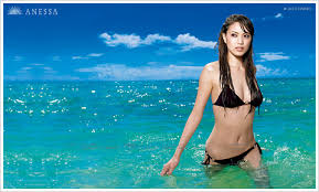 資生堂「ANESSA」（アネッサ） 2008年版