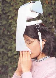  the flu  trends in  the 