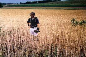 catcher-rye-full - via Daymix